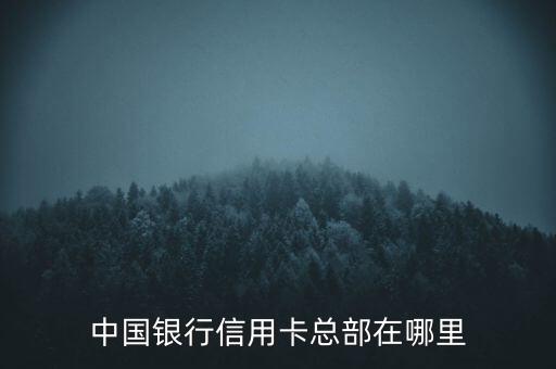 信用卡公司是哪里的银行，中国银行信用卡总部在哪里