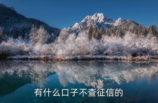 无需征信无需审核的贷款21岁，满21岁可以借贷的软件有没有