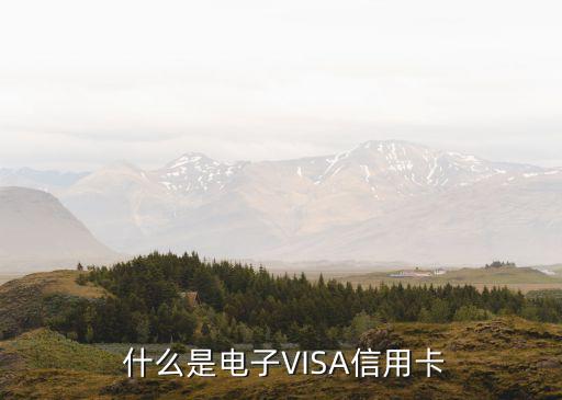 什么是电子VISA信用卡