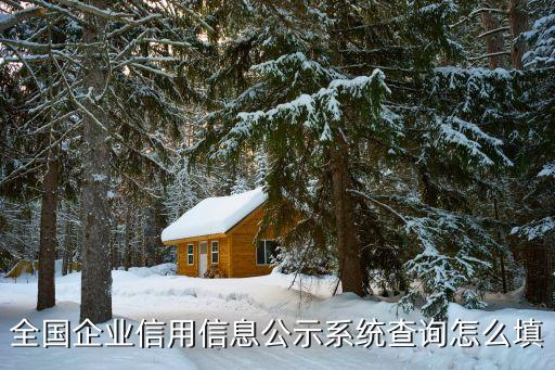 全国企业信用信息公示系统查询怎么填