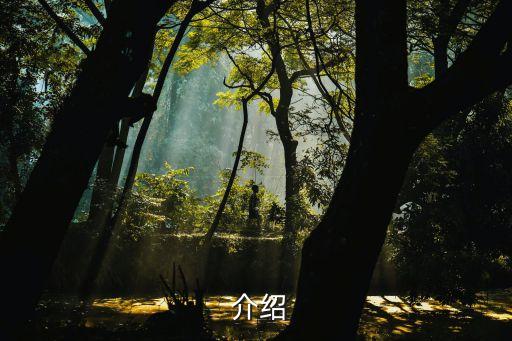 介绍
