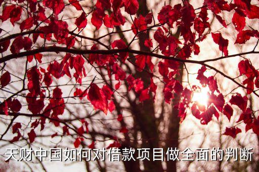 信用公司债项目如何判定，基金的持仓里面如何区分是利率债还是信用债哪些是高等级信用债