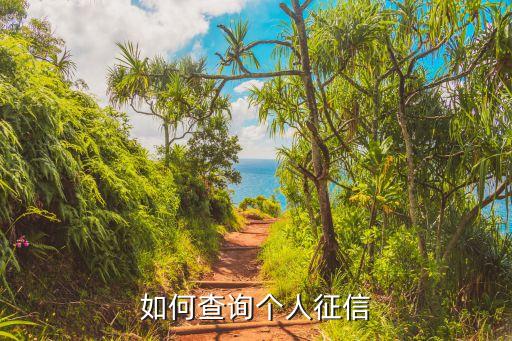 如何查询个人征信