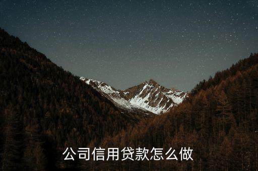 怎么做信用分贷公司，公司信用贷款怎么做