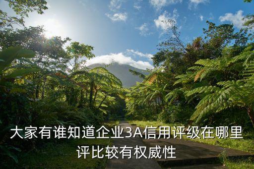 大家有谁知道企业3A信用评级在哪里评比较有权威性