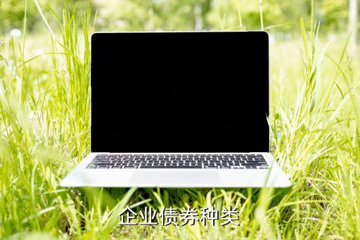 公司类信用债包括哪些，信用债券包括哪些