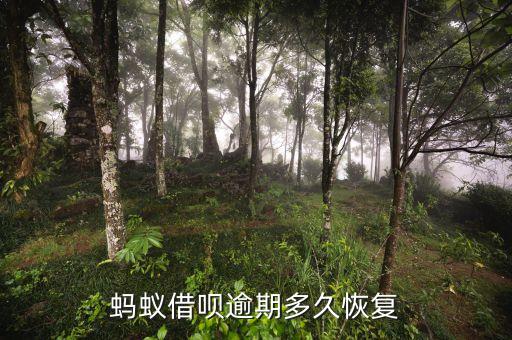 蚂蚁借呗逾期多久恢复
