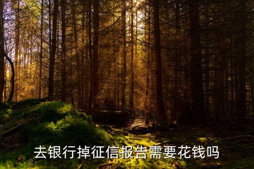 去银行掉征信报告需要花钱吗