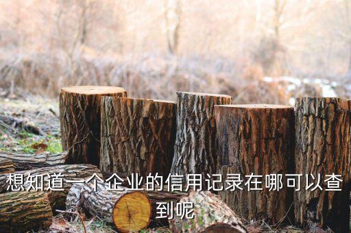 想知道一个企业的信用记录在哪可以查到呢