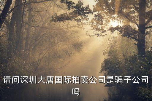 请问深圳大唐国际拍卖公司是骗子公司吗