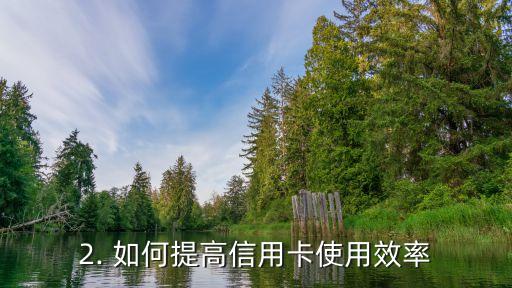 杨树看信用卡，杨树如何提高信用卡使用效率？