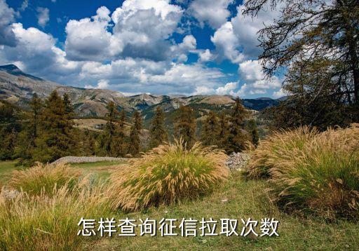 怎样查询征信拉取次数