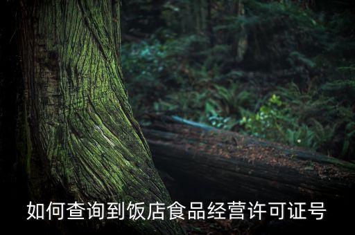 如何查询到饭店食品经营许可证号