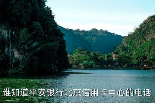 谁知道平安银行北京信用卡中心的电话