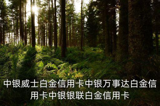 中银威士白金信用卡中银万事达白金信用卡中银银联白金信用卡