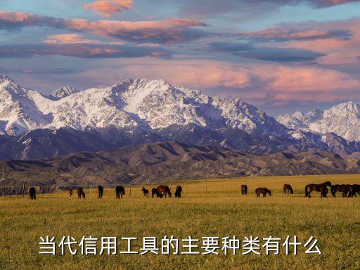 公司信用工具是什么样的，信用工具包括哪些