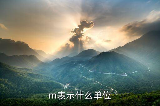 m表示什么单位