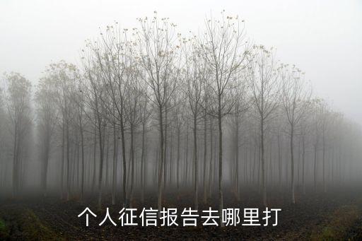 个人征信报告去哪里打