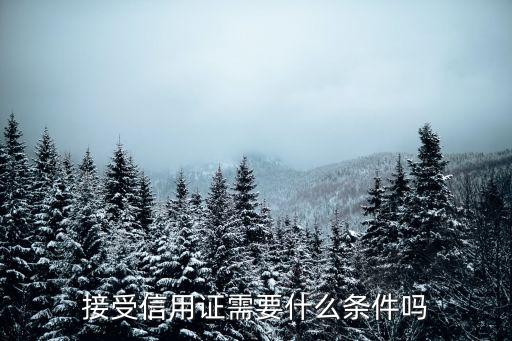 接受信用证需要什么条件吗
