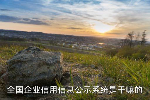 全国企业信用信息公示系统是干嘛的