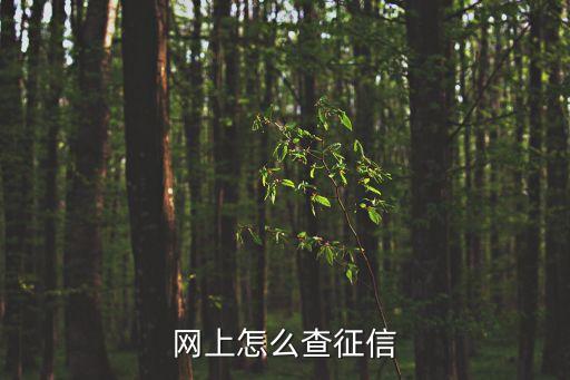 网上怎么查征信