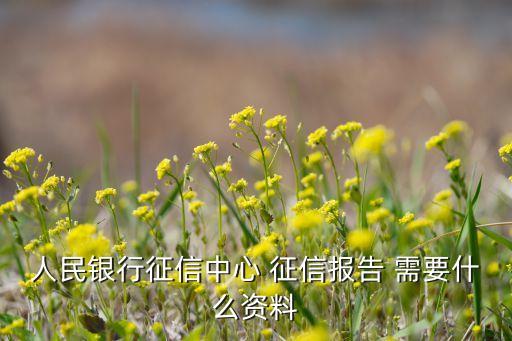 人民银行征信中心 征信报告 需要什么资料