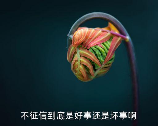 不征信到底是好事还是坏事啊