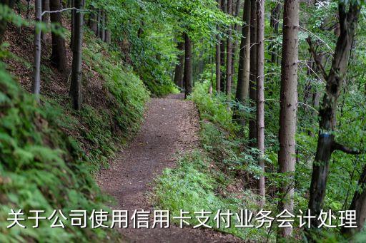 公司用信用卡计入什么科目，公司刷信用卡怎么做会计分录