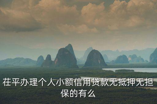 茌平办理个人小额信用贷款无抵押无担保的有么