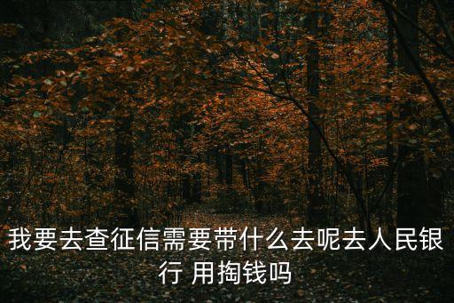 查征信报告要钱吗安全吗，查征信需要费用吗有什么手续吗