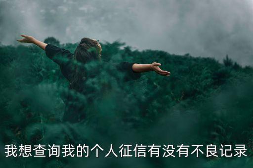 我想查询我的个人征信有没有不良记录