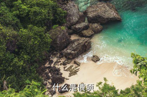 什么是债项