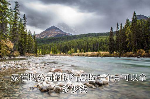 一家催收公司的执行总监一个月可以拿多少钱