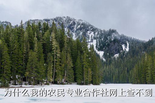 为什么我的农民专业合作社网上查不到