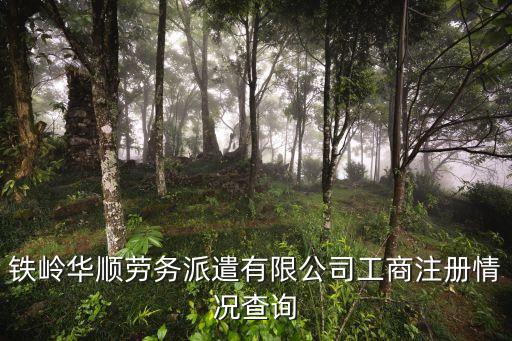 铁岭华顺劳务派遣有限公司工商注册情况查询