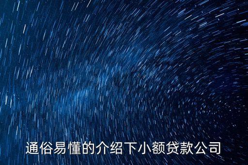 通俗易懂的介绍下小额贷款公司