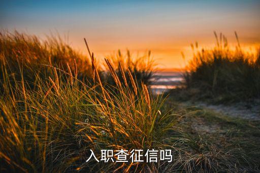 入职查征信吗
