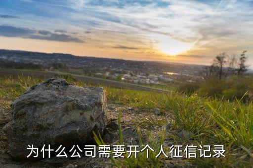 为什么公司需要开个人征信记录