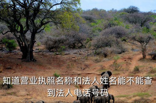 知道营业执照名称和法人姓名能不能查到法人电话号码