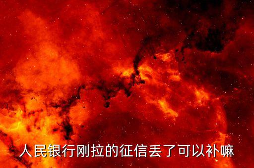 人民银行刚拉的征信丢了可以补嘛