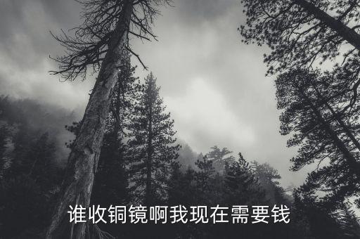 贵溪信用贷款公司在哪里，谁收铜镜啊我现在需要钱