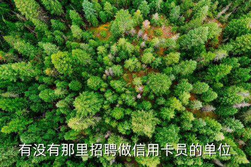 有没有那里招聘做信用卡员的单位