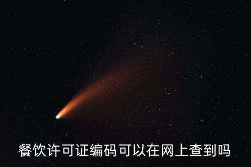餐饮服务许可证网上查询，餐饮服务许可证查询