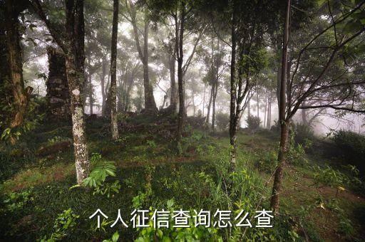 个人征信查询怎么查