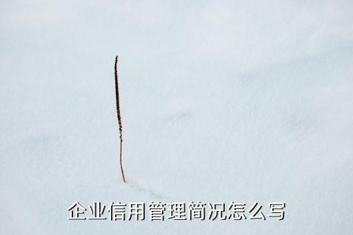 企业信用管理简况怎么写