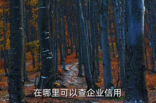 怎么在国家网站查公司信用，网上如何怎么查询全国企业信用信息公示系统查询