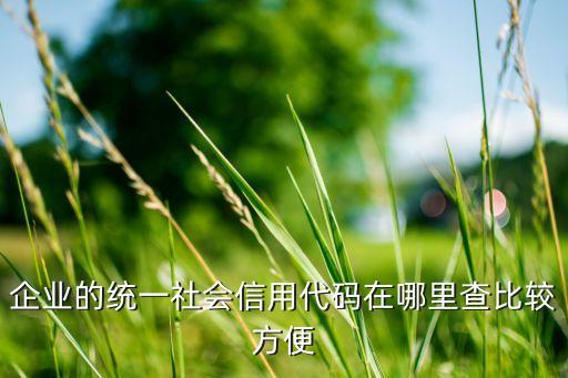 企业的统一社会信用代码在哪里查比较方便