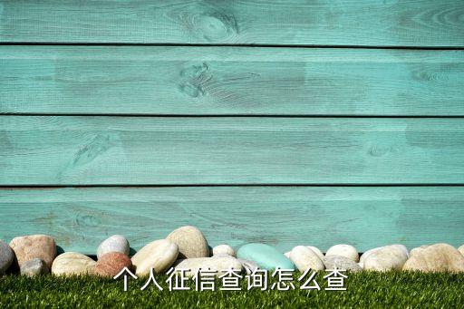 个人征信查询怎么查