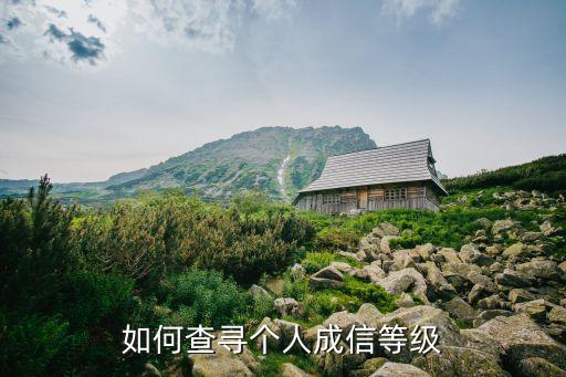 个人征信等级怎么看，请问如何查农业银行银行个人信用等级
