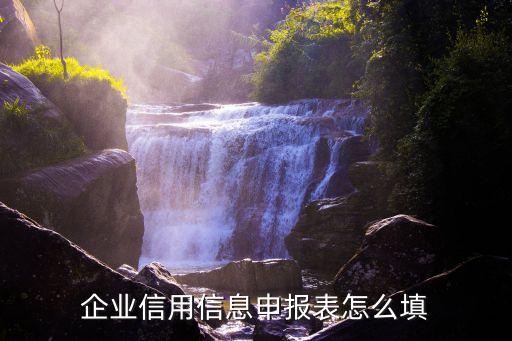 企业信用信息申报表怎么填